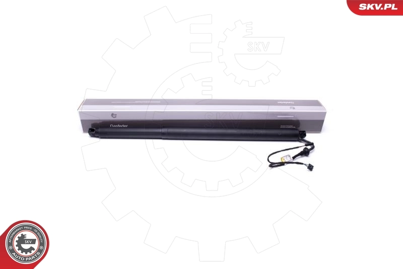 Electric Motor, tailgate
